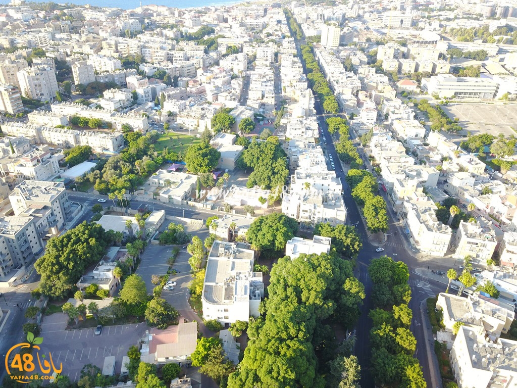 jamal basha tsterre (37).JPG